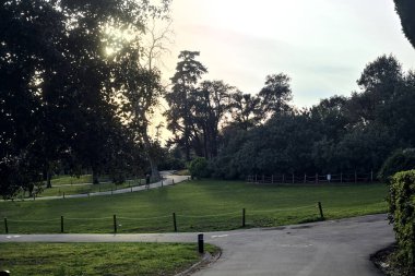 Gün batımında kesişen yolların yolu dallar tarafından çerçevelenir