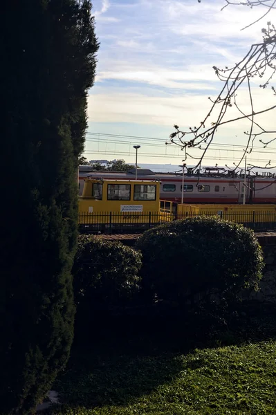 Ferrocarril Junto Mar Atardecer Visto Desde Parque Enmarcado Por Árboles —  Fotos de Stock