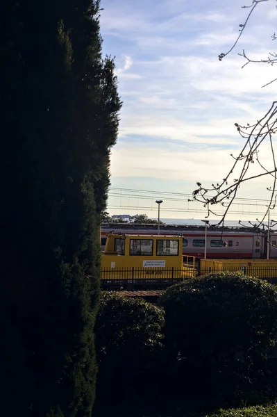 Ferrovia Sul Mare Tramonto Vista Parco Incorniciata Alberi Ringhiere — Foto Stock