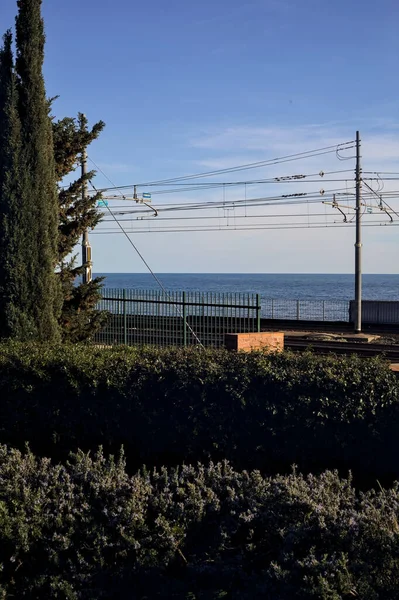 Ferrocarril Junto Mar Atardecer Visto Desde Parque Enmarcado Por Árboles — Foto de Stock
