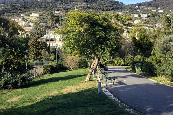 Gün batımında ağaçlar ve çitlerle çevrili bir patika.