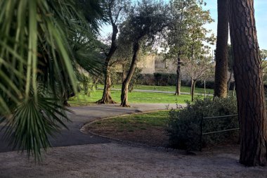 Gün batımında kesişen yolların yolu dallar tarafından çerçevelenir