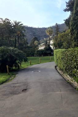 Gün batımında ağaçlar ve çitlerle çevrili bir patika.