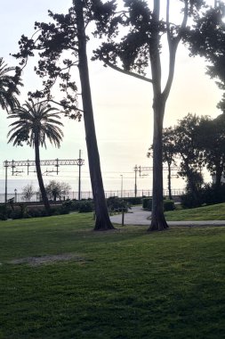 Gün batımında deniz kenarındaki demiryolunun yanındaki parkta.