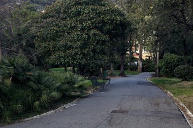 Gün batımında ağaçlar ve çitlerle çevrili bir patika.