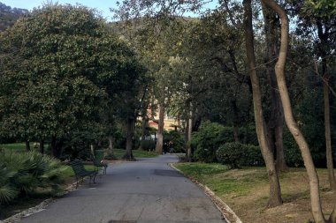 Gün batımında ağaçlar ve çitlerle çevrili bir patika.