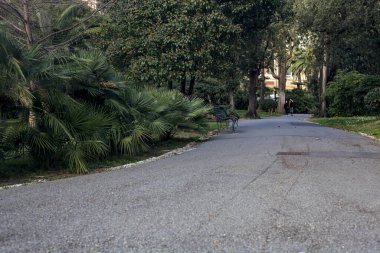 Gün batımında ağaçlar ve çitlerle çevrili bir patika.