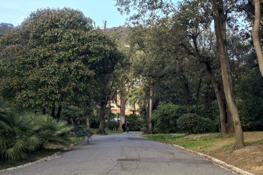 Gün batımında ağaçlar ve çitlerle çevrili bir patika.