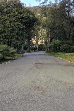 Gün batımında ağaçlar ve çitlerle çevrili bir patika.