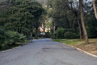 Gün batımında ağaçlar ve çitlerle çevrili bir patika.