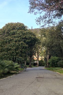 Gün batımında ağaçlar ve çitlerle çevrili bir patika.