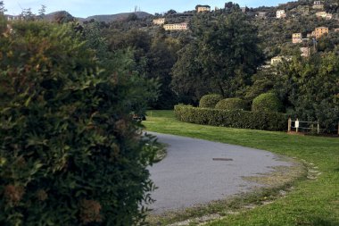 Gün batımında ağaçlar ve çitlerle çevrili bir patika.