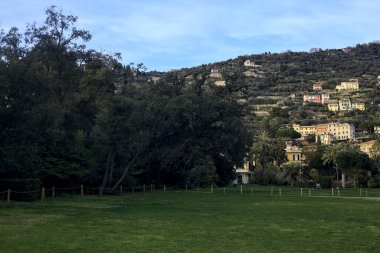 Gün batımında bir sarayın parkında açık alan