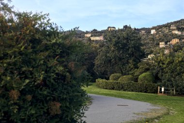 Gün batımında ağaçlar ve çitlerle çevrili bir patika.