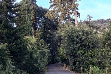 Gün batımında ağaçlar ve çitlerle çevrili bir patika.