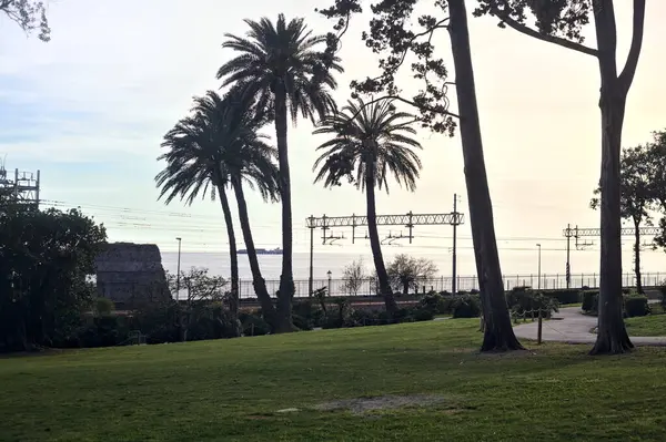 Gün batımında deniz kenarındaki demiryolunun yanındaki parkta.