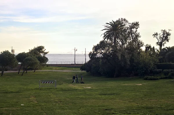 stock image Railroad by the sea at sunset seen from a park and framed by trees and railings