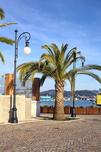 Palmboom Een Straatlantaarn Een Pier Met Een Geel Schip Erachter — Stockfoto
