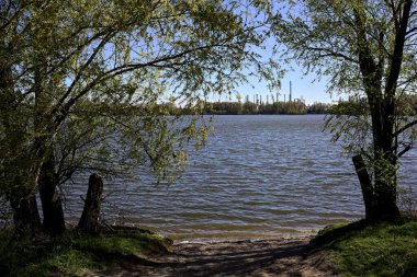 Ağaçların çerçevelediği göl kıyısındaki bir ormanda endüstriyel bir tesis.