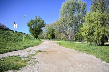 Güneşli bir günde, bir koruluğun yanında toprak yol ve toprak toprak bir set.