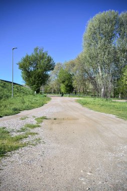 Güneşli bir günde, bir koruluğun yanında toprak yol ve toprak toprak bir set.