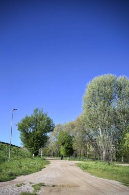 Güneşli bir günde, bir koruluğun yanında toprak yol ve toprak toprak bir set.