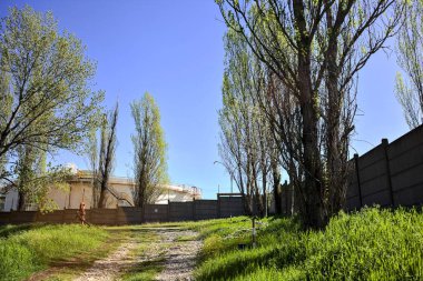 Ormandaki bir endüstriyel kompleksin sınır duvarının yanındaki set üzerinde yol.