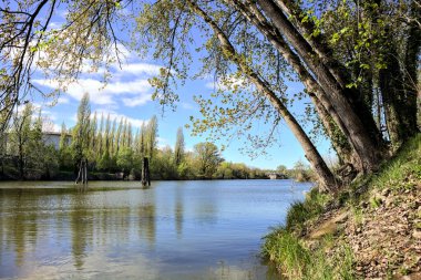 Tahta direkli körfez ve güneşli bir günde, bir ormanın kıyısında sanayi kompleksinin yanında bir mavna.