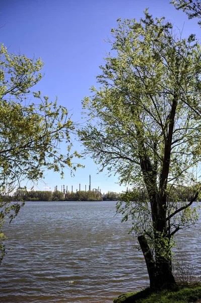 Kompleks Przemysłowy Lesie Nad Brzegiem Jeziora Oddali Otoczony Drzewami — Zdjęcie stockowe