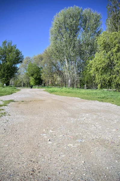 Güneşli bir günde, bir koruluğun yanında toprak yol ve toprak toprak bir set.