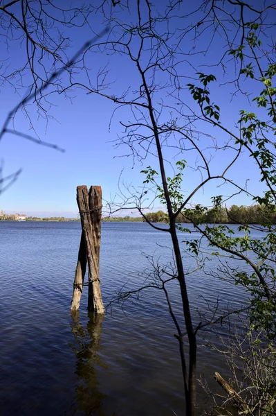 Holzpfähle Wasser Neben Dem Seeufer Und Der Skyline Einer Stadt — Stockfoto