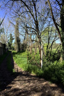 Güneşli bir günde, ormanın kapısının açık olduğu bir yol ayrımı yap.