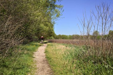 İtalya kırsalında güneşli bir günde ormandaki ağaçlarla çevrili bir çayırın yanındaki toprak yol.