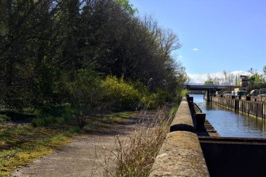 Güneşli bir günde park etmiş arabaları ve sokak lambaları olan bir ormanın yanında beton kanal.