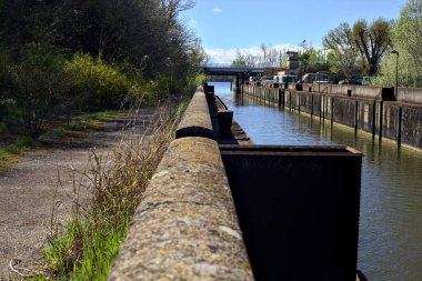 Güneşli bir günde park etmiş arabaları ve sokak lambaları olan bir ormanın yanında beton kanal.
