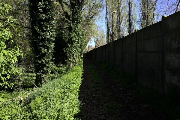 Path bordered by a concrete boundary wall of an industrial complex in a forest on a sunny day