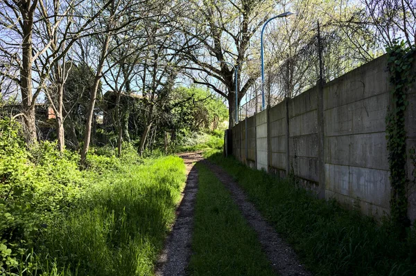 Path bordered by a concrete boundary wall of an industrial complex in a forest on a sunny day