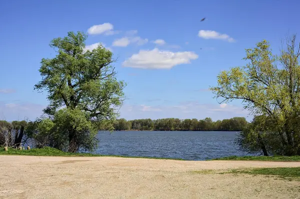 See Und Ufer Der Ferne Eingerahmt Von Einem Bogenförmigen Baum — Stockfoto