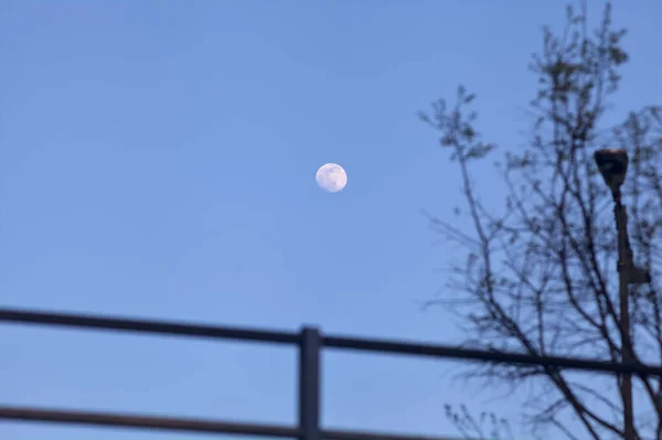 Jasne Niebo Zmierzchu Pełnią Księżyca Oddali Otoczonej Balustradami Gołą Rośliną — Zdjęcie stockowe