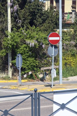 Kırsal bir yolda bir kavşakta büyüyen salkımlı çit.