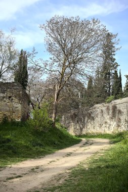 Yamaç yamacındaki bir parkta, bir sınır duvarıyla çevrili bir toprak yolun kıvrımında ağaç kavis çiziyor.