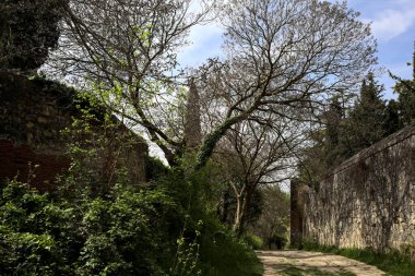 Yamaç yamacındaki bir parkta, bir sınır duvarıyla çevrili bir toprak yolun kıvrımında ağaç kavis çiziyor.