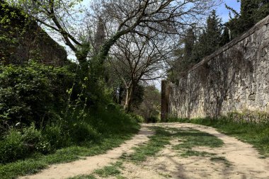 Yamaç yamacındaki bir parkta, bir sınır duvarıyla çevrili bir toprak yolun kıvrımında ağaç kavis çiziyor.