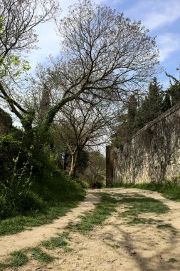 Yamaç yamacındaki bir parkta, bir sınır duvarıyla çevrili bir toprak yolun kıvrımında ağaç kavis çiziyor.