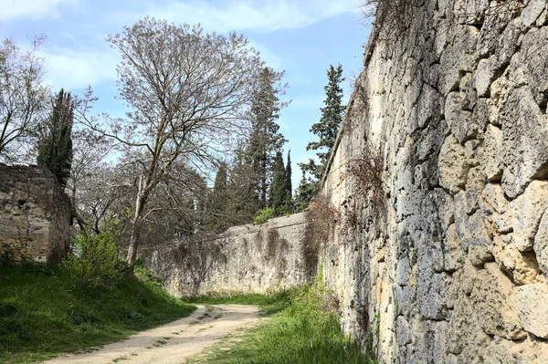 丘の中腹の公園の境界壁に囲まれた未舗装の道の曲がりにアーチ木 — ストック写真