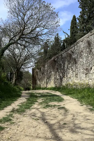 Arco Albero Sulla Curva Sentiero Sterrato Delimitato Muro Cinta Parco — Foto Stock