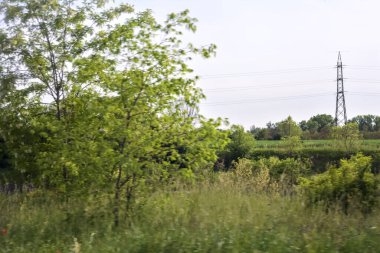 İtalya kırsalında gün batımında ağaçlarla çevrili bir arazi.