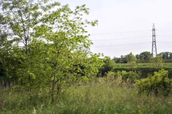 Stock image Field with trees seen from the distance at sunset in the italian countryside