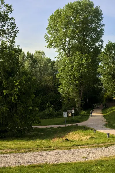 Gün batımında yukarıdan görünen bir parkta yol
