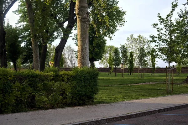 공원에 석양에 가운데있는 잔디밭 — 스톡 사진